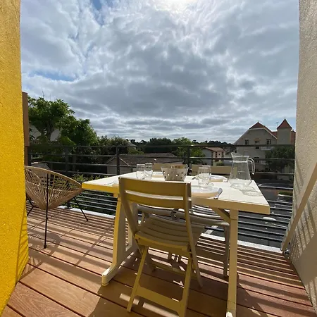 Apartman Duplex Renove 34 M² Face A La Plage A - Parking Inclus! - Fr-1-539-53 *